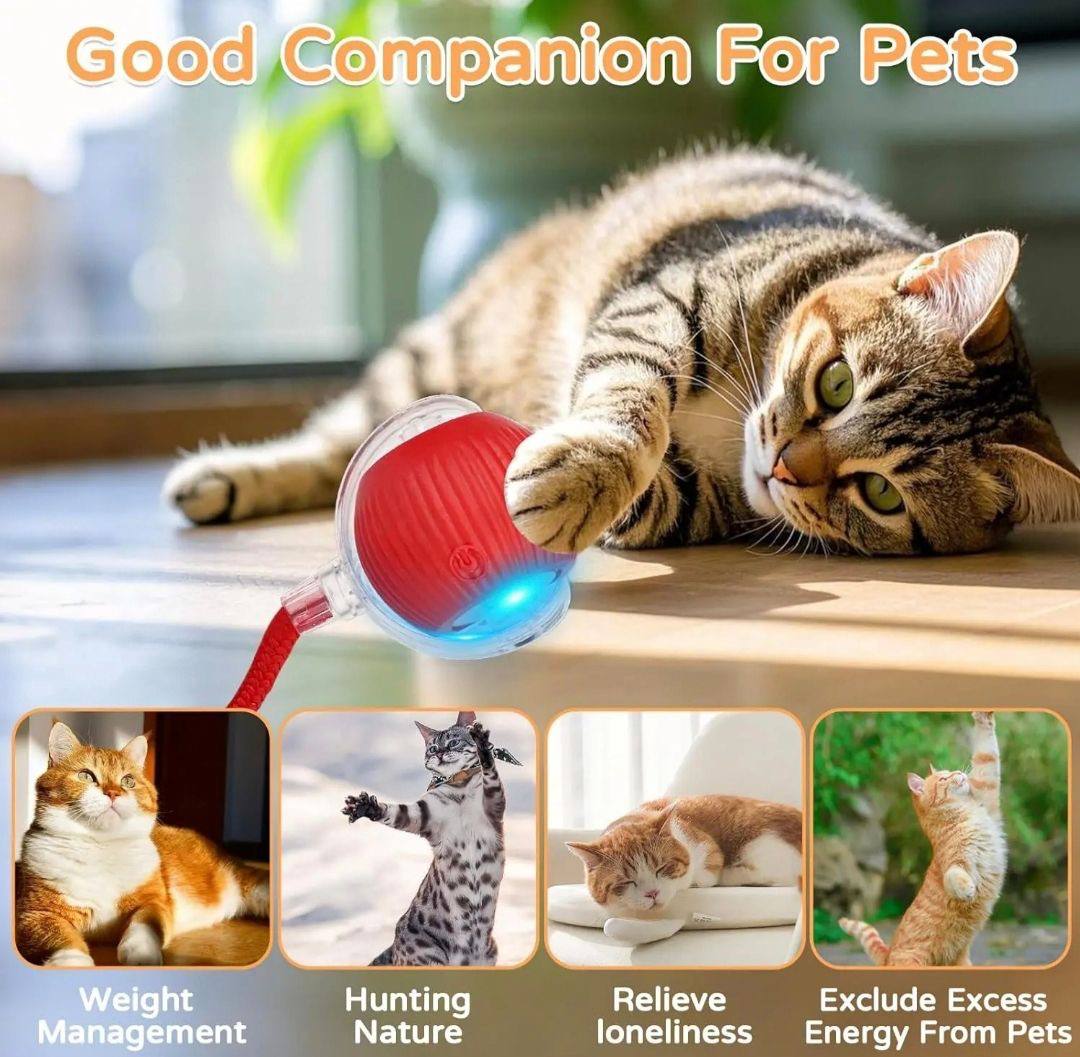 Interactive Cat Toy Ball