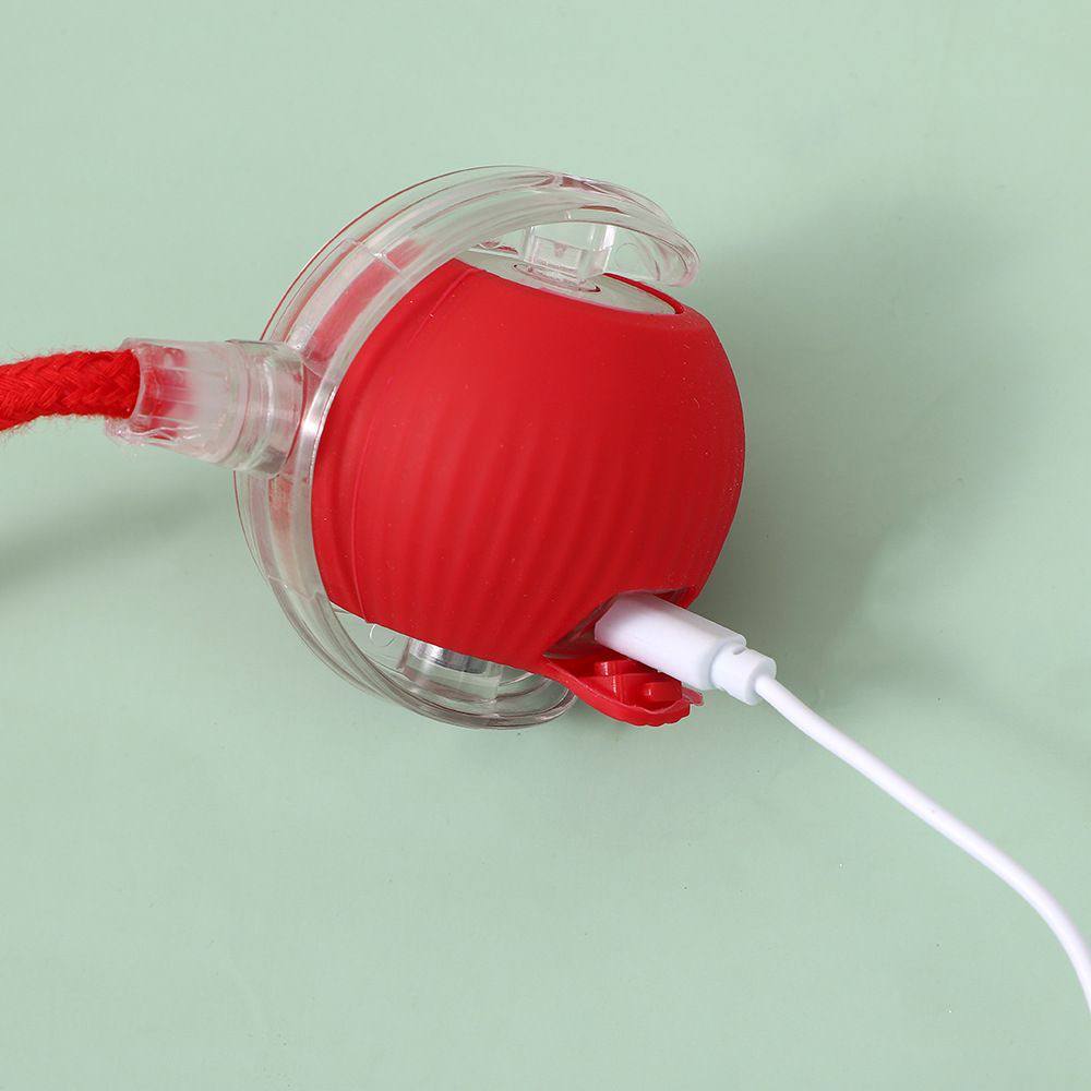 Interactive Cat Toy Ball